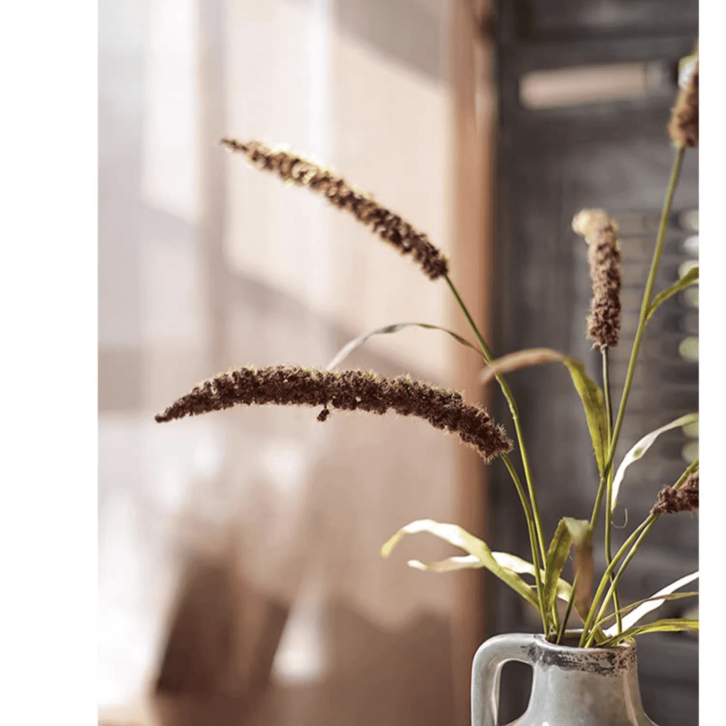 Three-Headed Dogtail Grass Stem 39" Tall