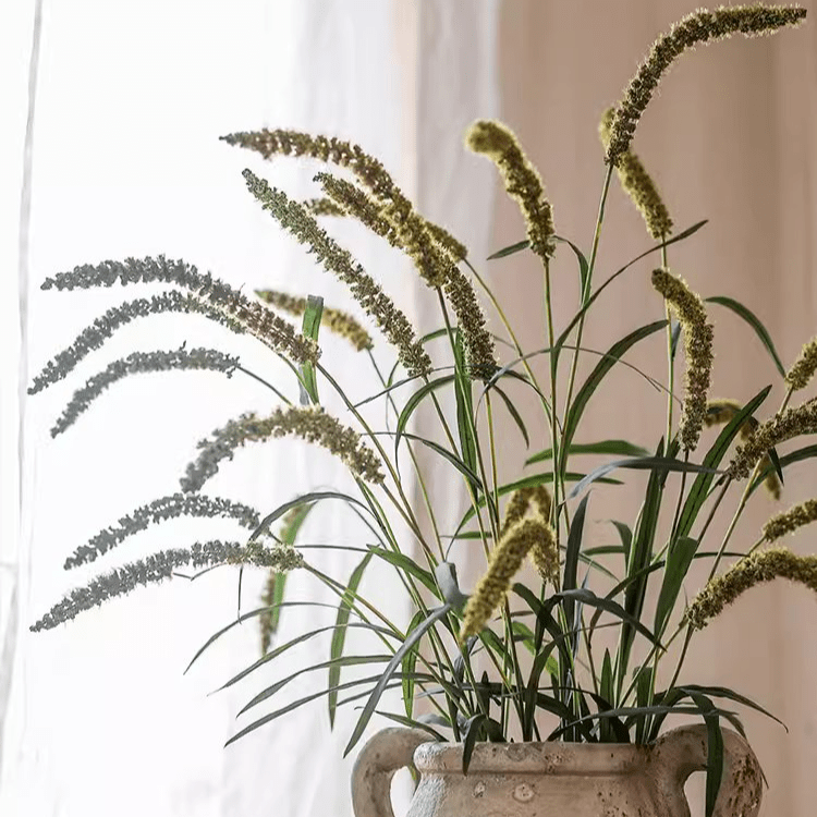 Three-Headed Dogtail Grass Stem 39" Tall