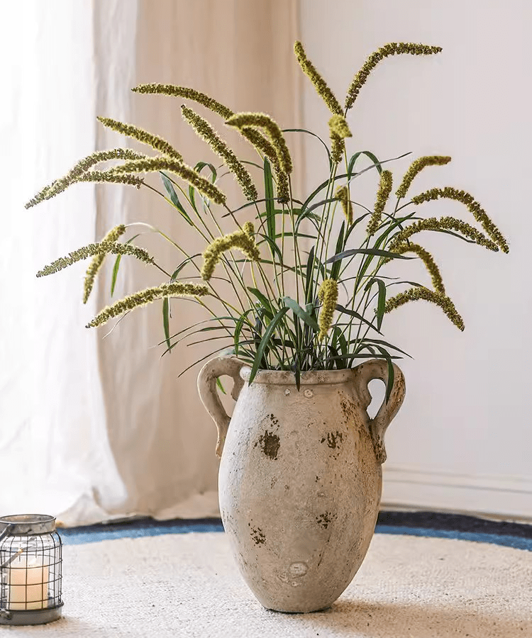 Three-Headed Dogtail Grass Stem 39" Tall