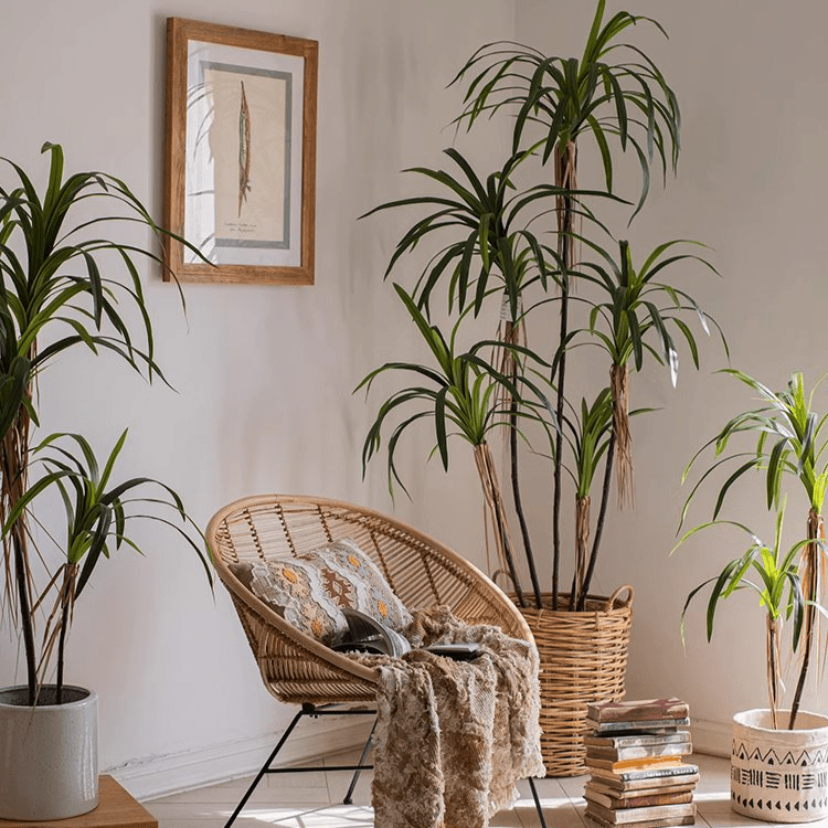 Artificial Dracaena Tree