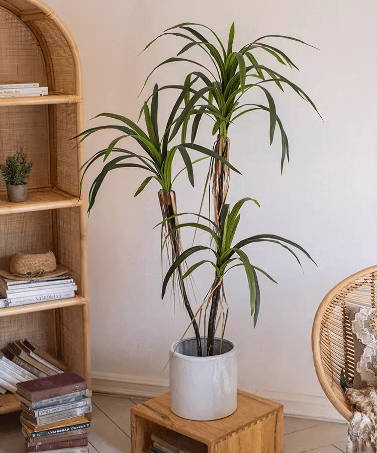 Artificial Dracaena Tree
