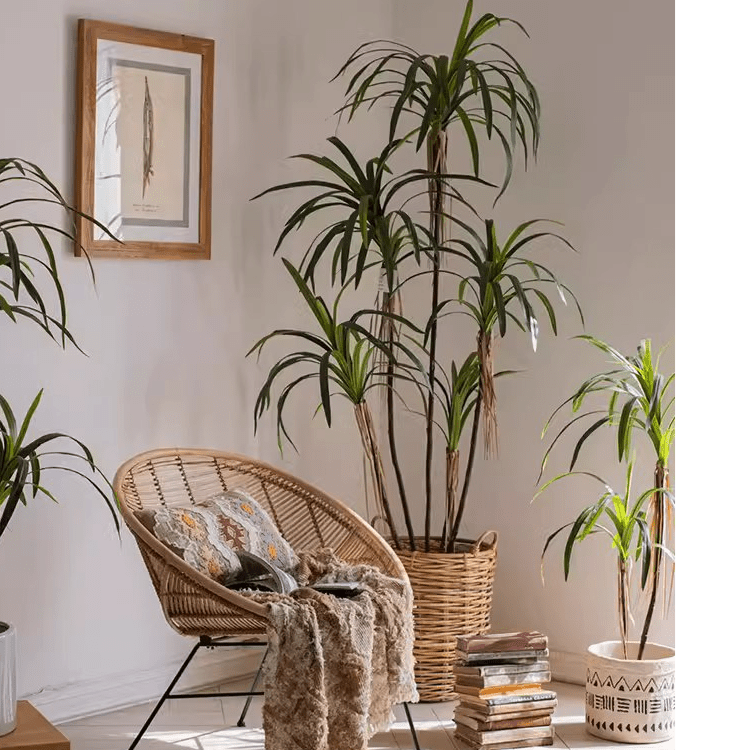 Artificial Dracaena Tree