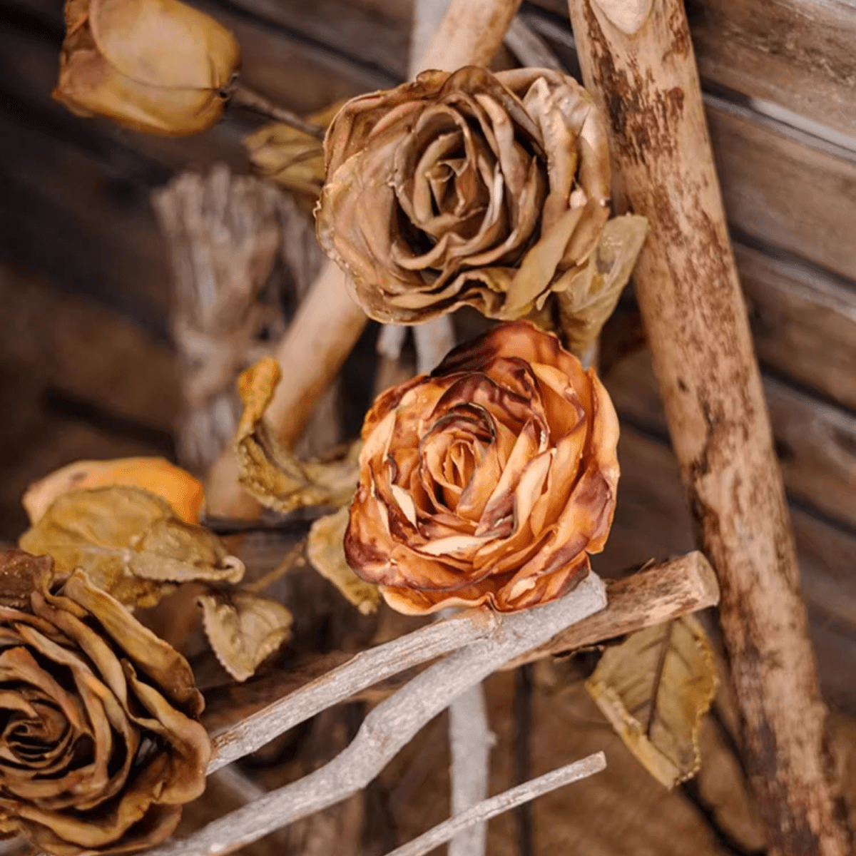 French Dried Look Faux Rose Stem 26" Tall