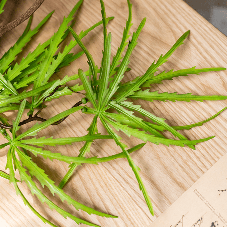 Artificial Ferns Vine Stem 39" Long