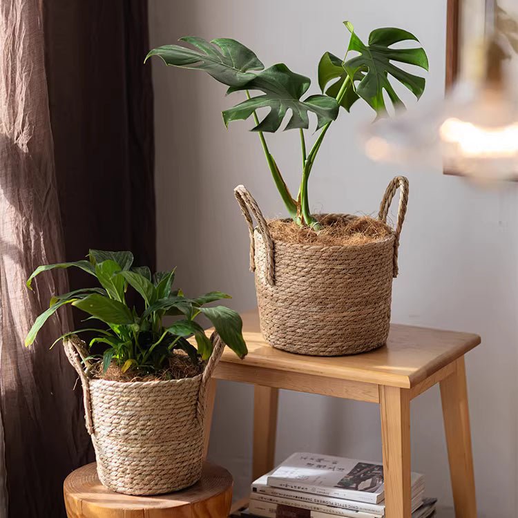 French Country Woven Planter Basket