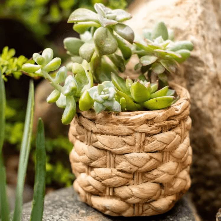 Grass Woven Looking Cement Planter