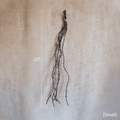 Ikebana Twig Branch