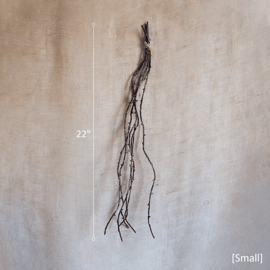 Ikebana Twig Branch