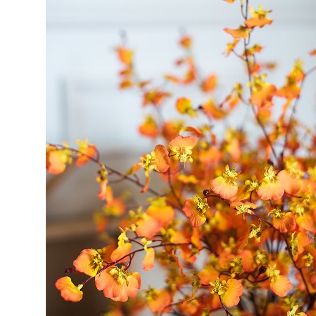 Impressionist Oncidium Orchid Stem in Orange 31" Tall