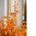 Impressionist Oncidium Orchid Stem in Orange 31" Tall