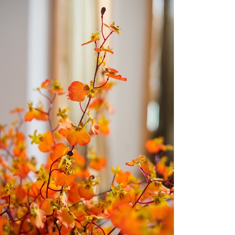 Impressionist Oncidium Orchid Stem in Orange 31" Tall