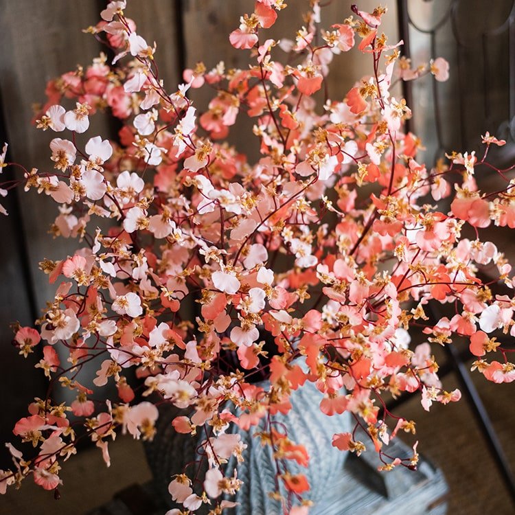 Impressionist Oncidium Orchid Stem in Pink 31" Tall