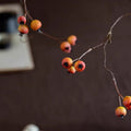 Leafless Berry Branch Stem 45.2" Tall