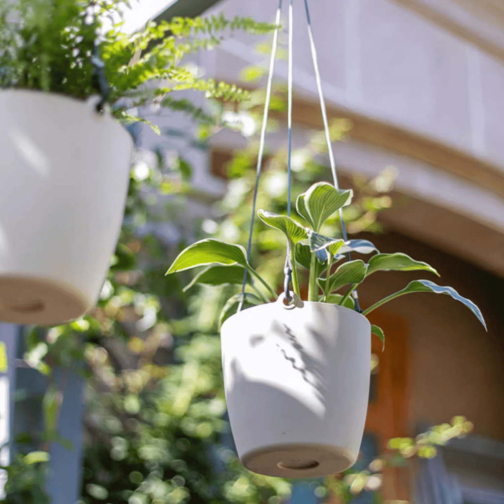 Modern Resin Hanging Planter for Artificial Plants
