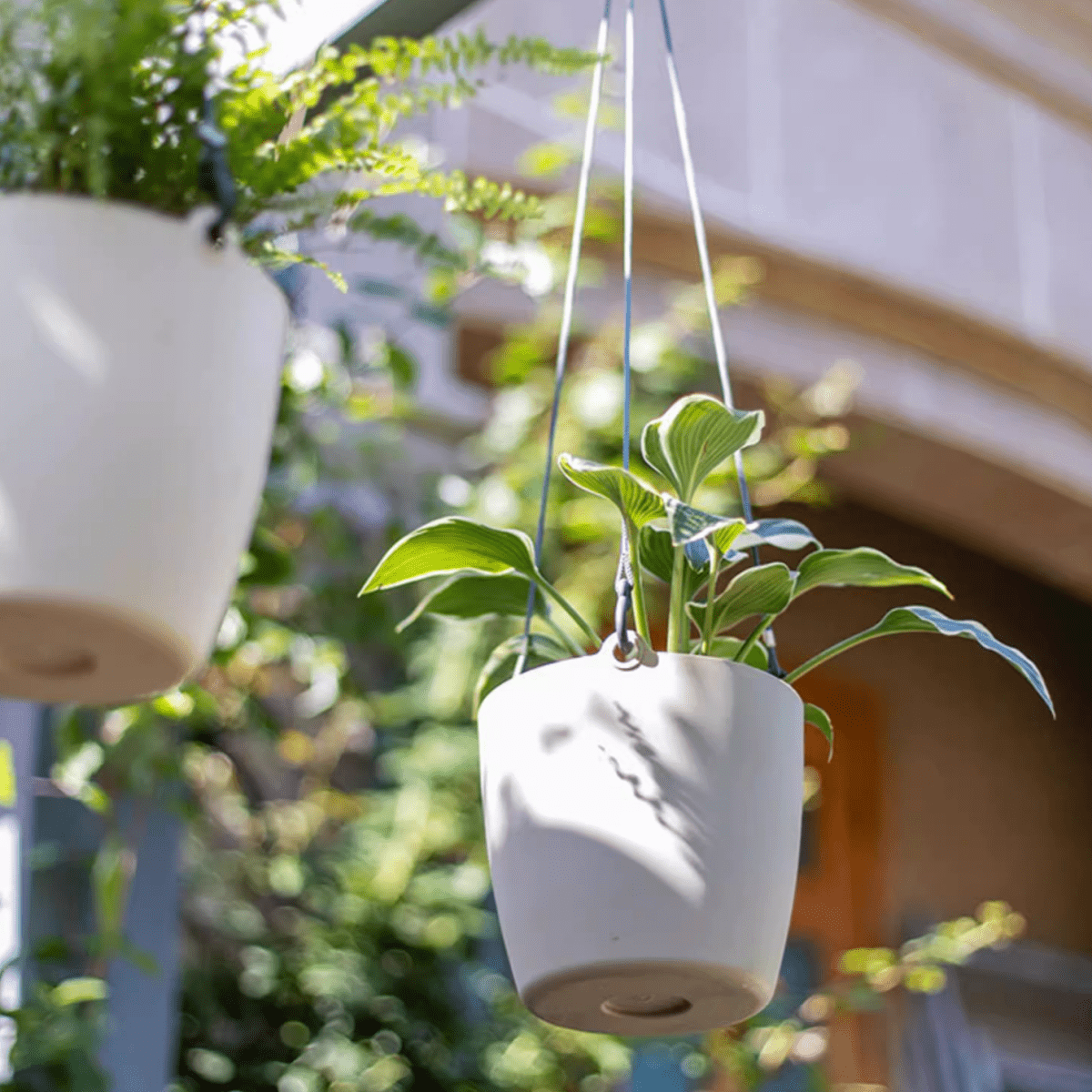 Modern Resin Hanging Planter for Artificial Plants