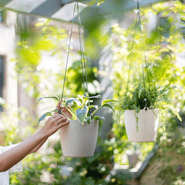 Modern Resin Hanging Planter for Artificial Plants