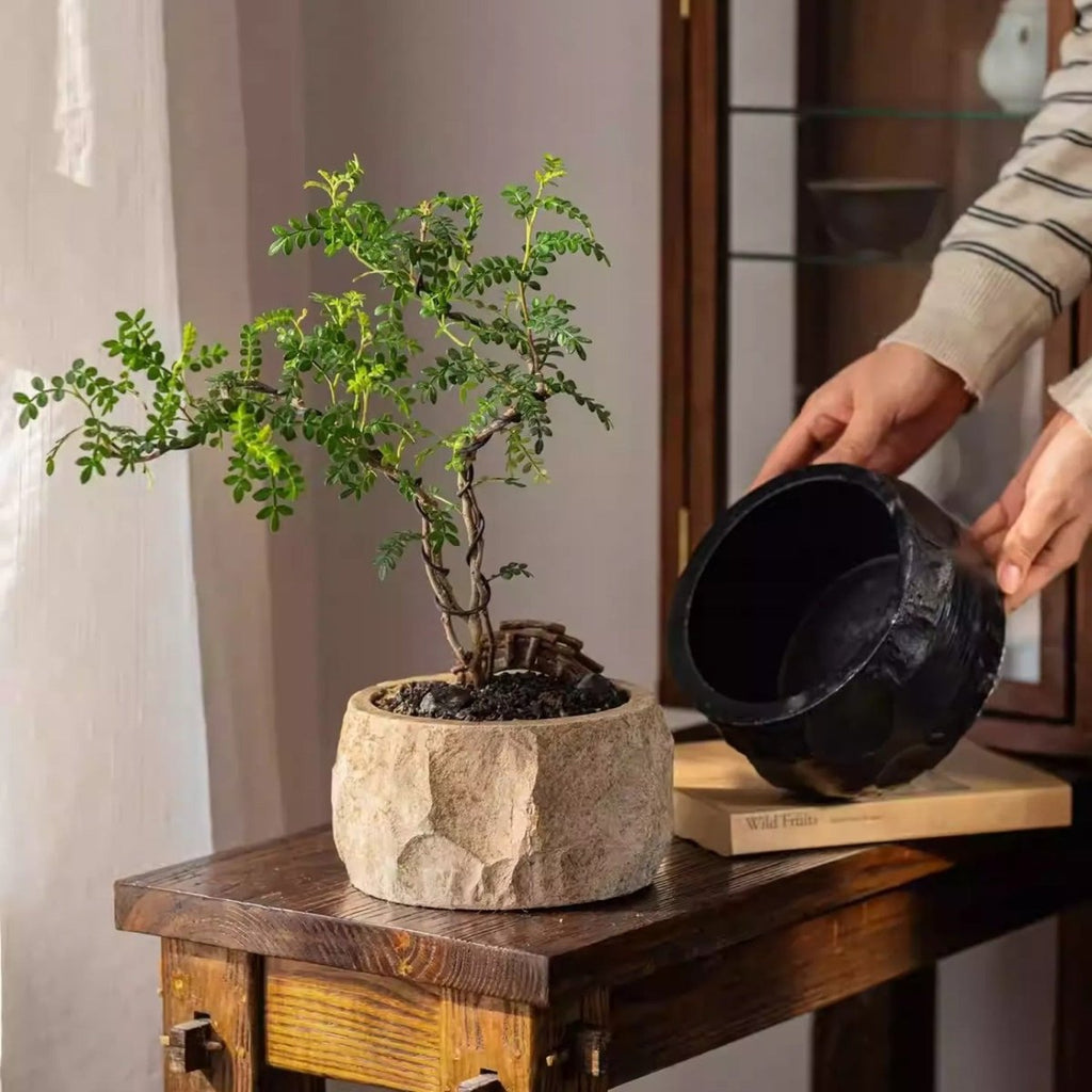 Mesa Cement Pot Planter