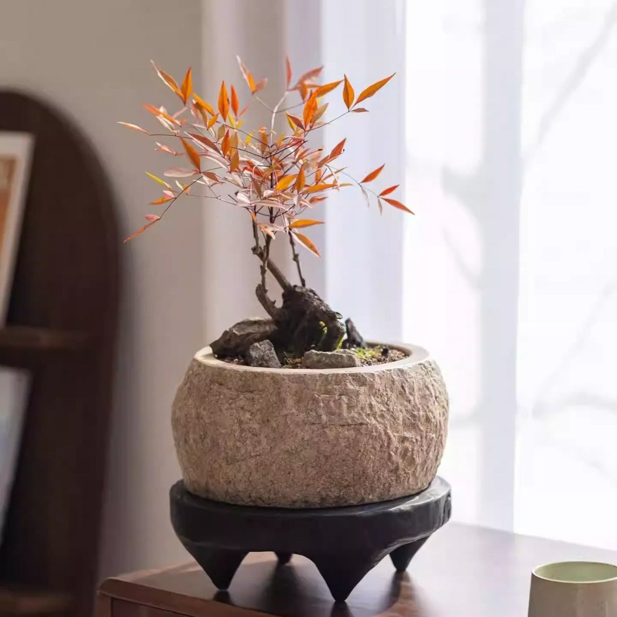 Mesa Cement Pot Planter