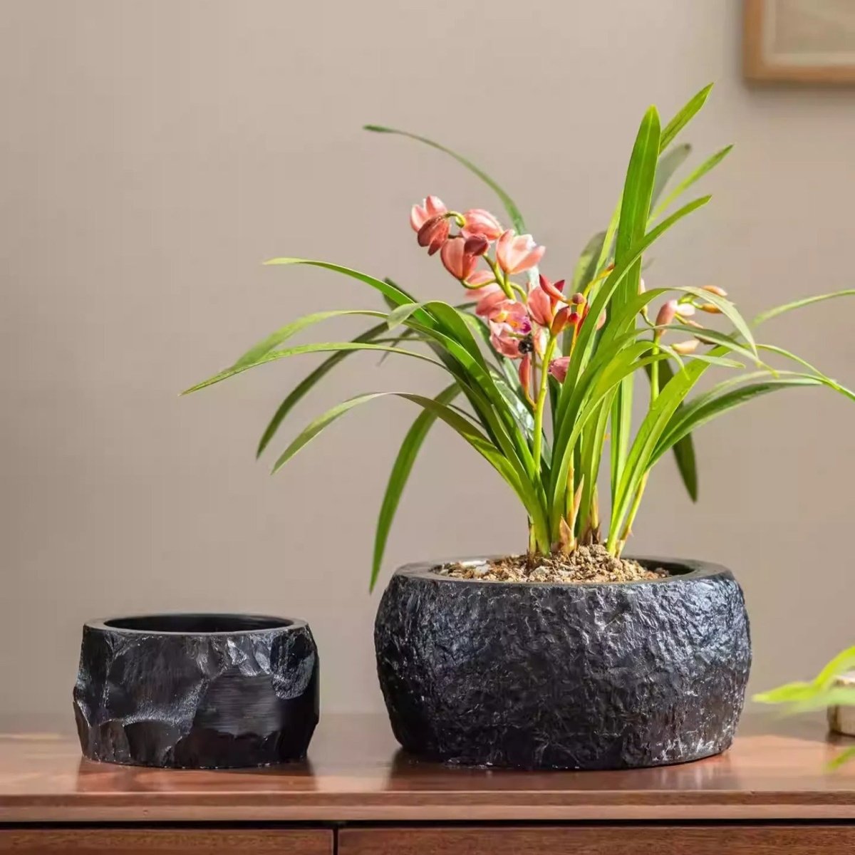 Mesa Cement Pot Planter