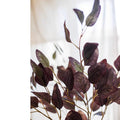 Midnight Plum Eucalyptus Stem 37.7" Tall