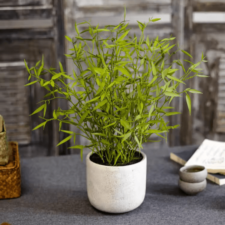 Realistic Mini Bamboo Leaf Potted Plant