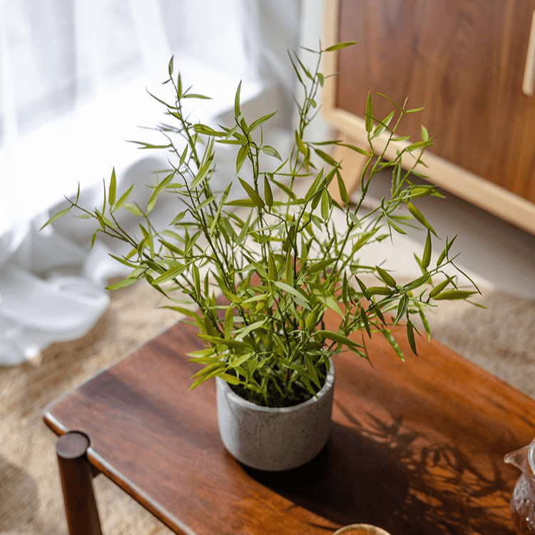 Realistic Mini Bamboo Leaf Potted Plant