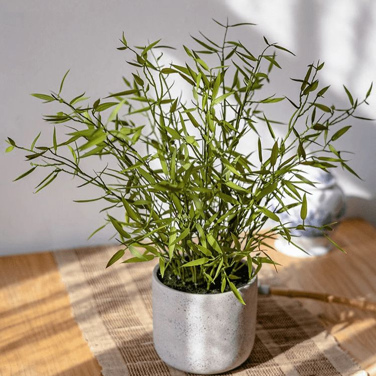 Realistic Mini Bamboo Leaf Potted Plant