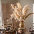 Natural Reed Stem 10 Stem Set 51" Tall