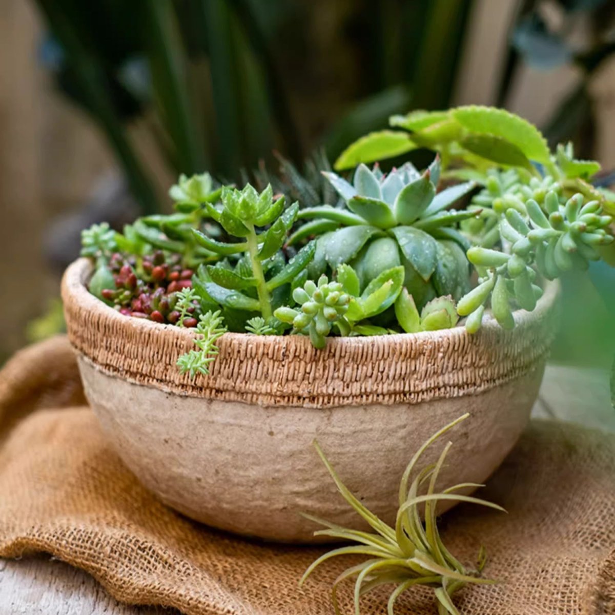 Rattan Pattern Edge Cement Planter