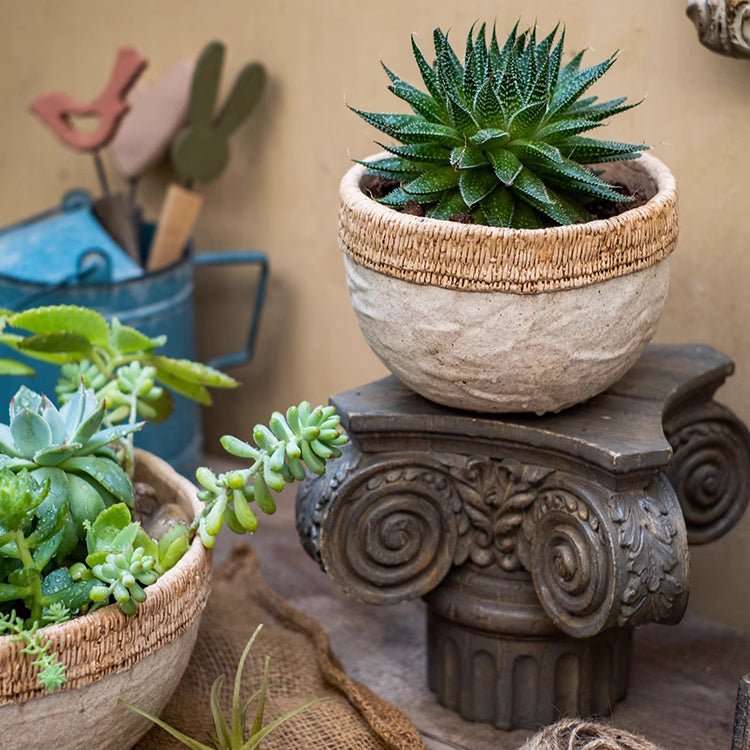 Rattan Pattern Edge Cement Planter