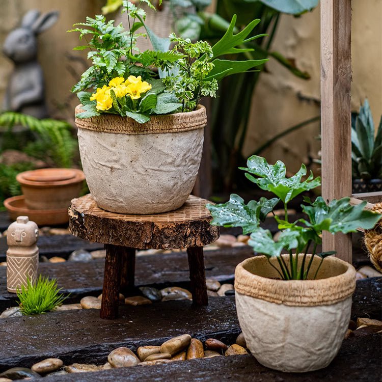 Rattan Pattern Edge Cement Planter