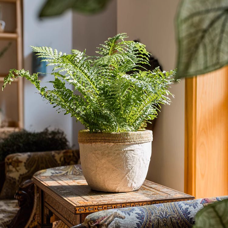 Rattan Pattern Edge Cement Planter