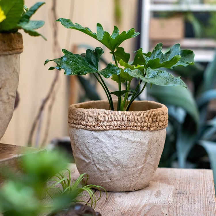Rattan Pattern Edge Cement Planter