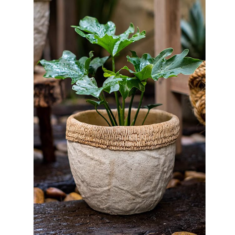 Rattan Pattern Edge Cement Planter