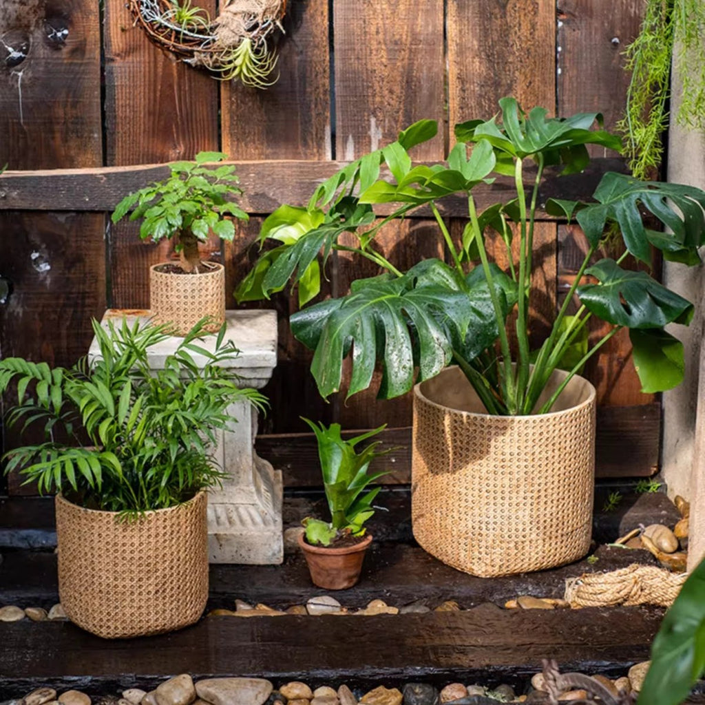 Rattan Texture Cement Planter