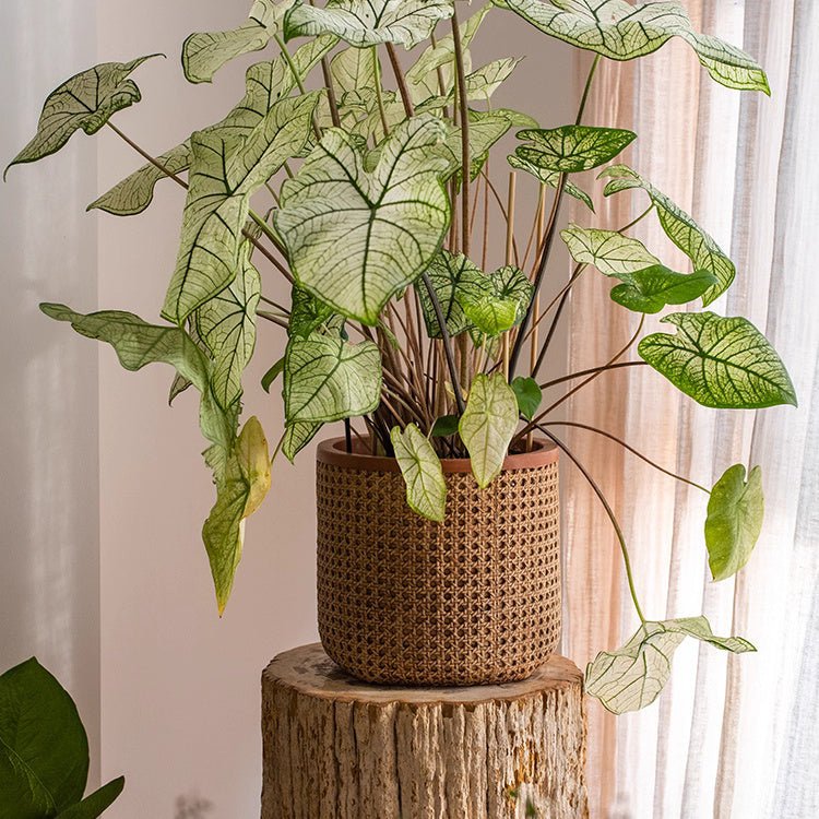 Rattan Texture Cement Planter