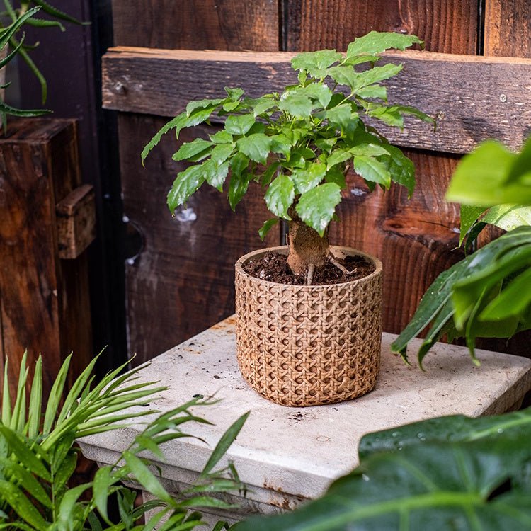 Rattan Texture Cement Planter