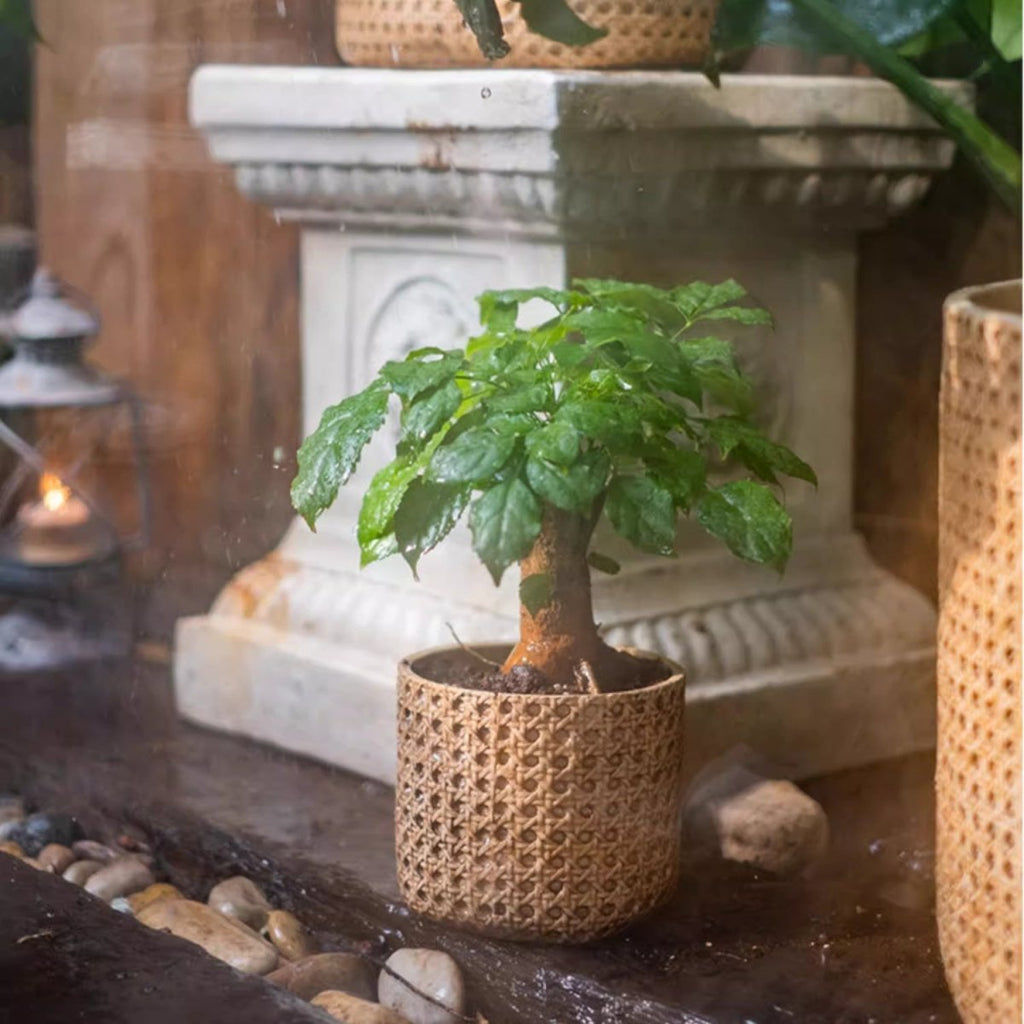 Rattan Texture Cement Planter