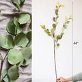 Round Leaf Eucalyptus Stem 44" Tall