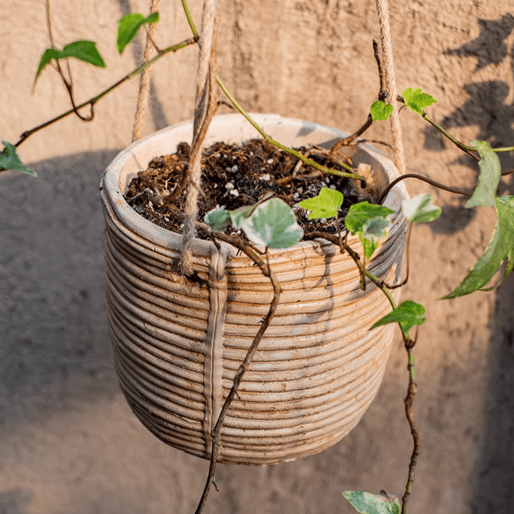 Faux Rattan Cement Hanging Planter