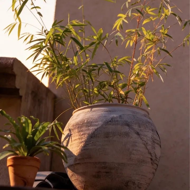 Sierra Round Pot Planter