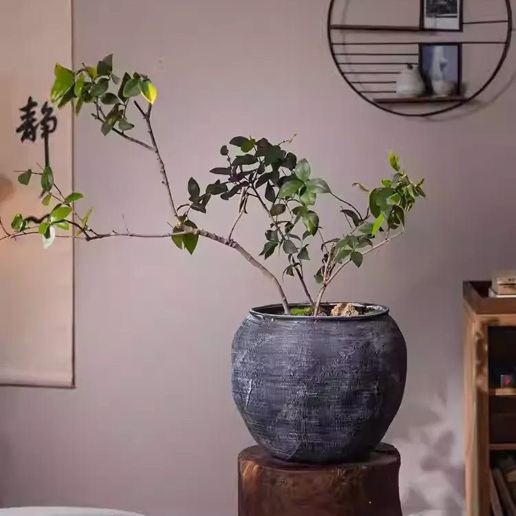 Sierra Round Pot Planter