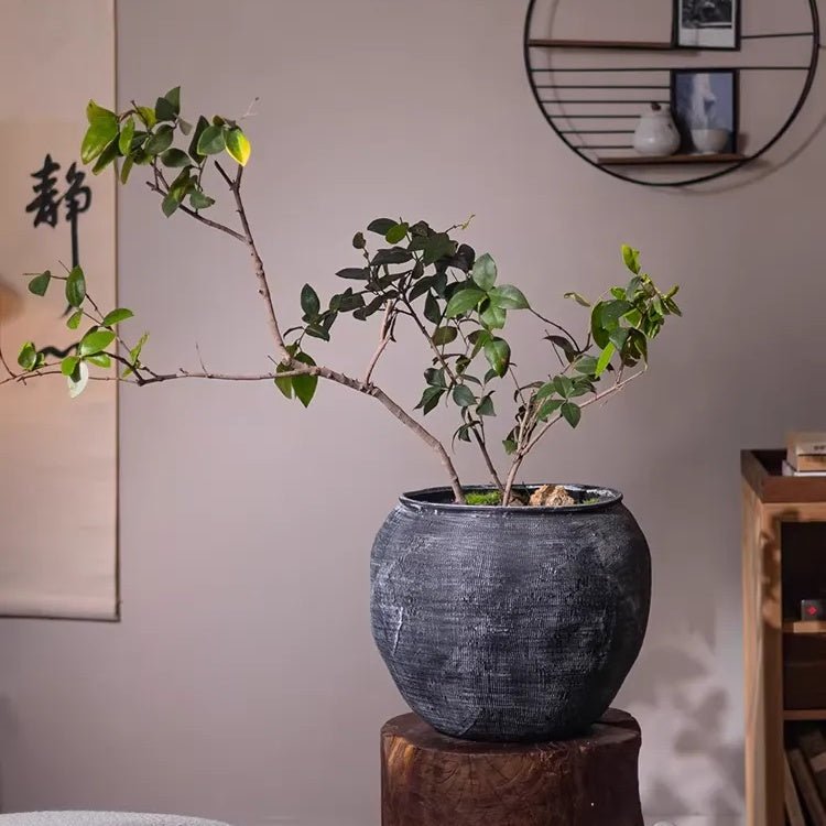 Sierra Round Pot Planter