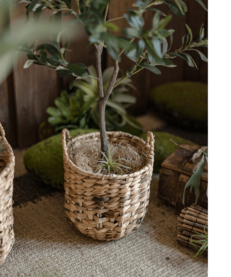 Natural Straw Round Basket with Handles
