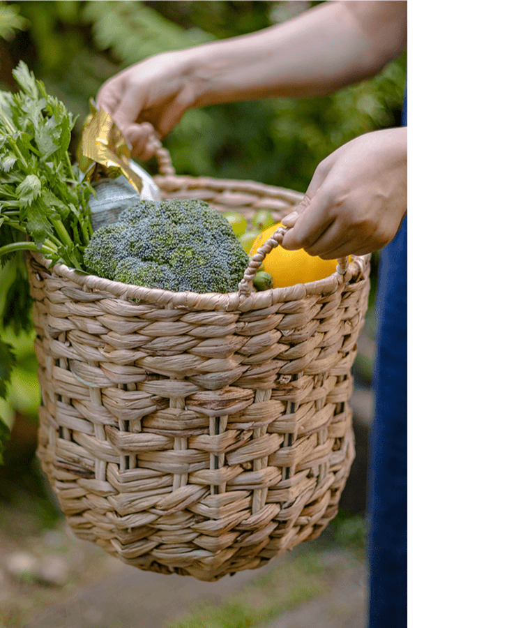 Natural Straw Round Basket with Handles