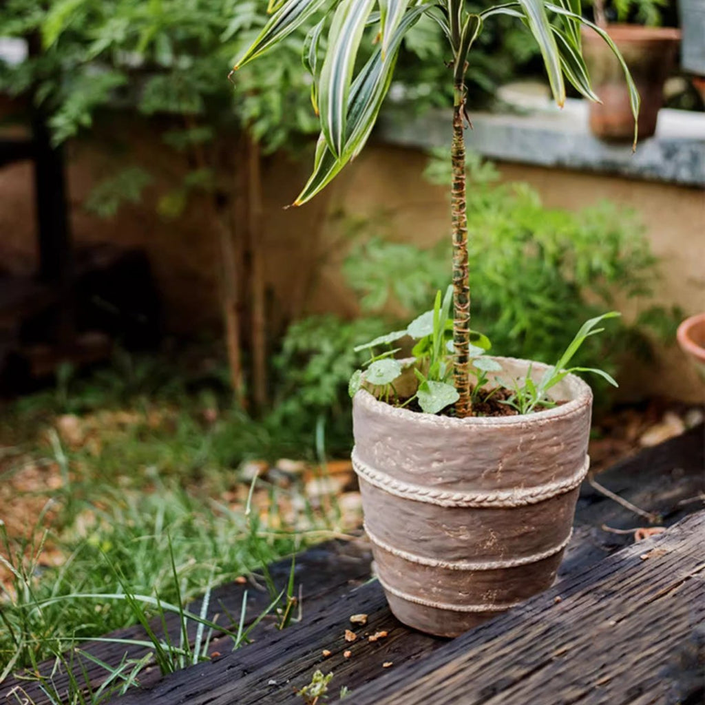 Tasha Red Terracotta Planter