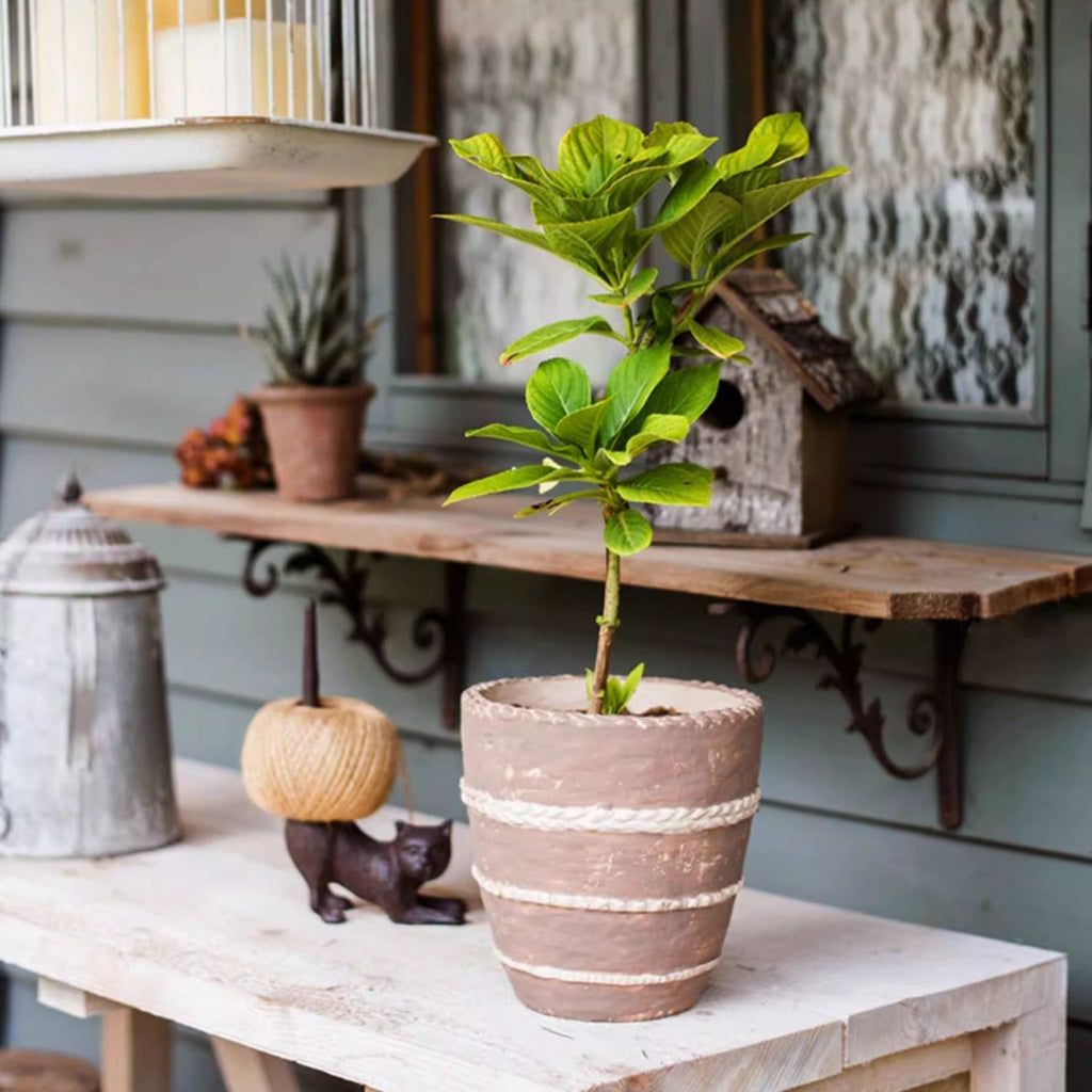 Tasha Red Terracotta Planter