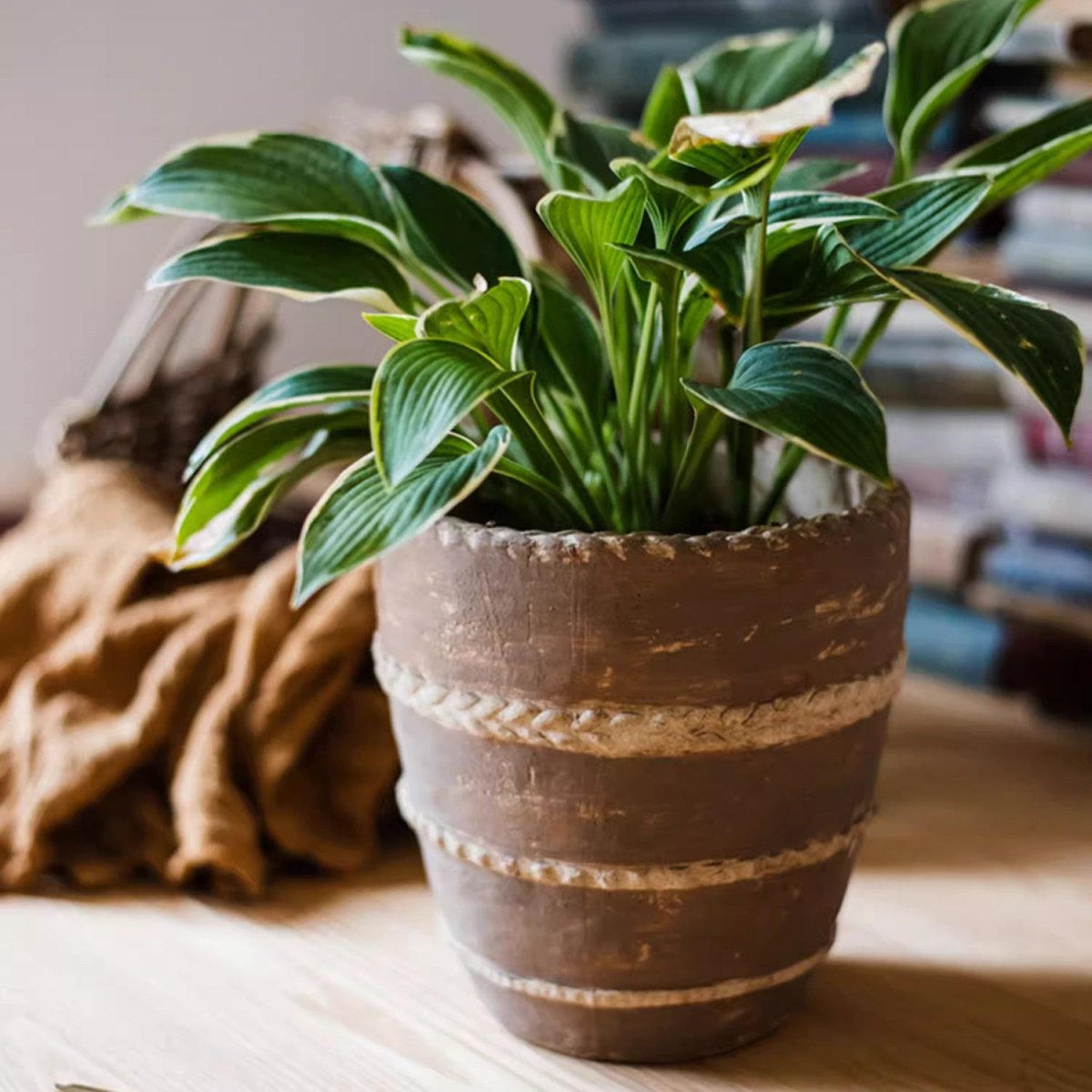 Tasha Red Terracotta Planter