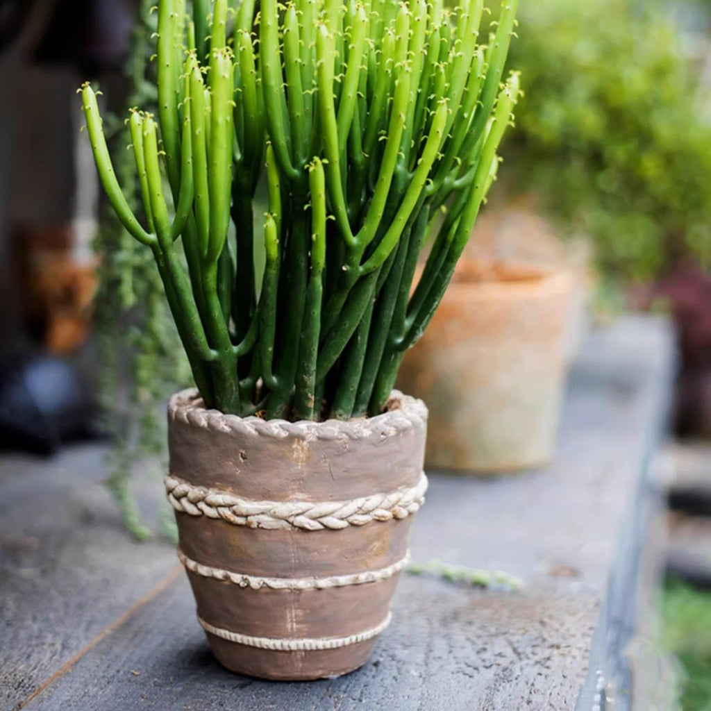 Tasha Red Terracotta Planter
