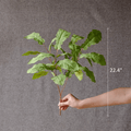 Wild Garden Greenery Bunch 22" Tall
